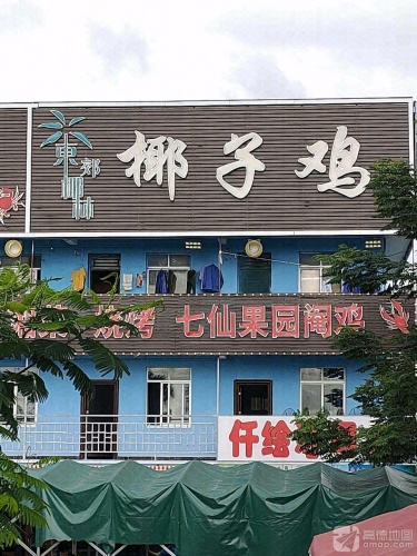 东郊椰林椰子鸡(海棠湾店)