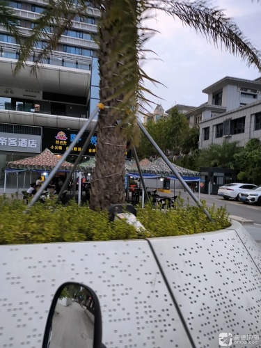 醉成都·牛蛙·烤鱼(碧桂园店)