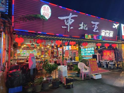 龙兴东北王家常菜(兴隆店)