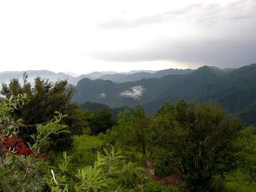 大巴山国家级自然保护区