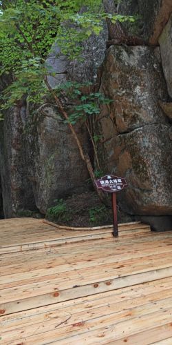 汤旺河林海奇石风景区-镇海大将军