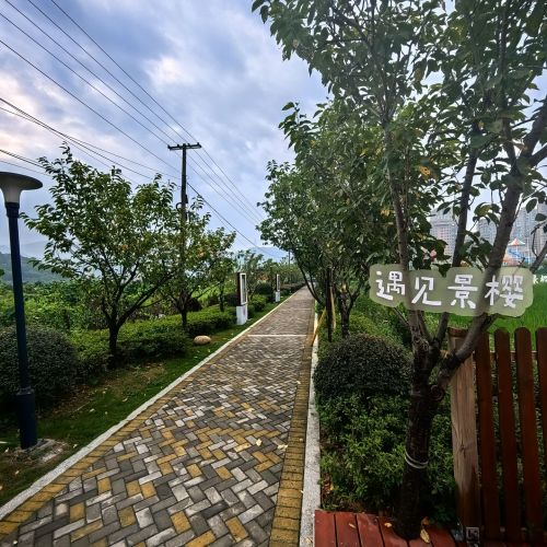 景樱公园