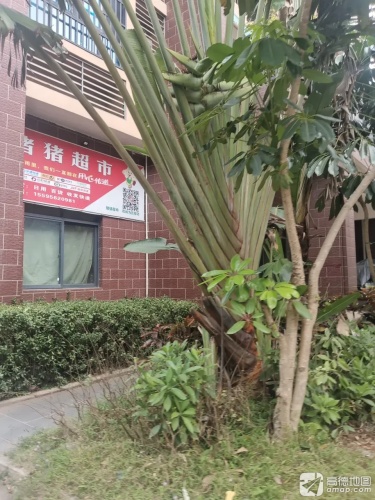 猪猪乐乐超市(海秀安居楼店)
