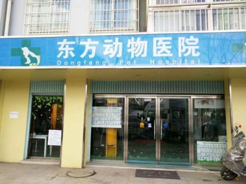 东方动物医院(广福店)