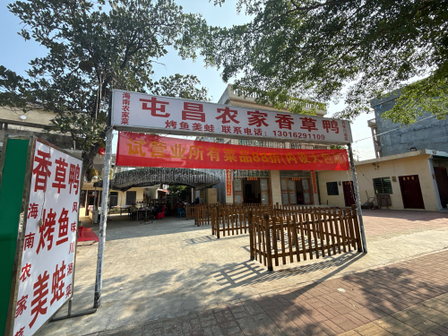 屯昌农家香草鸭