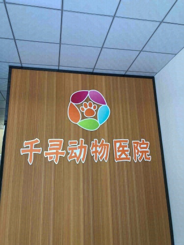 千寻动物医院