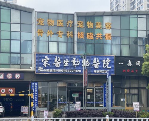 宋医生动物医院红谷滩万达分院(万达广场店)