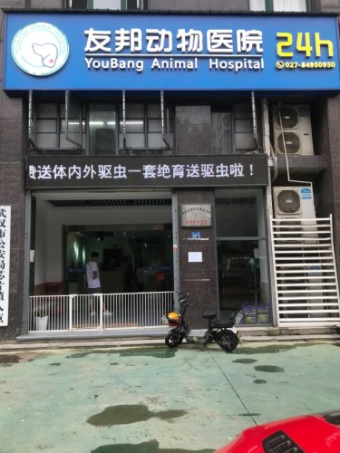 友邦动物医院