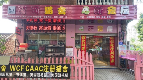 萌宠屋