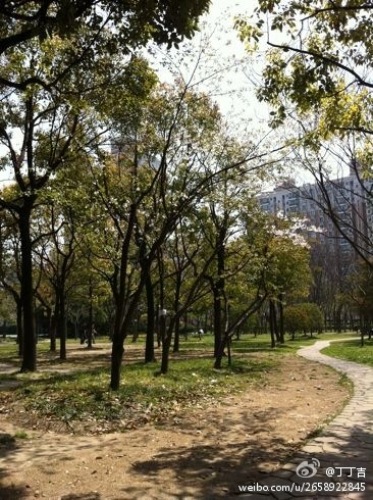 外景图