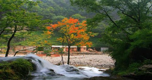 山西蟒河国家级自然保护区