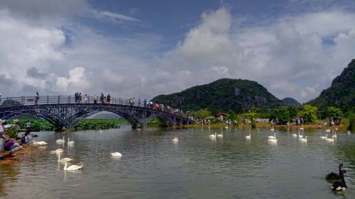 普者黑风景区-天鹅湖