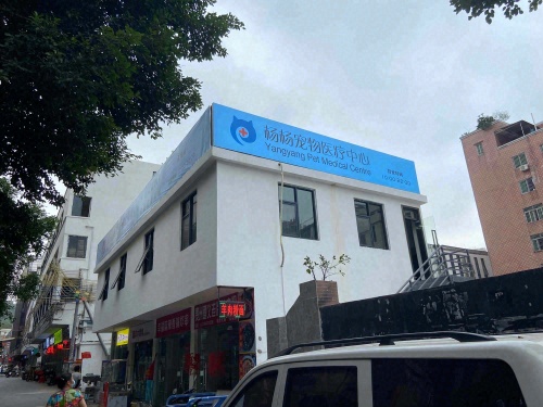 杨杨宠物医疗中心