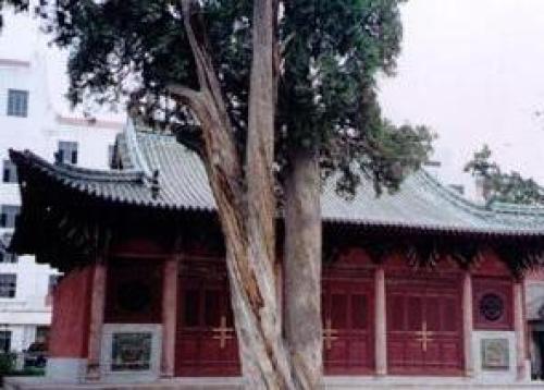 广严院