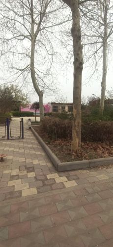 张村中街公园