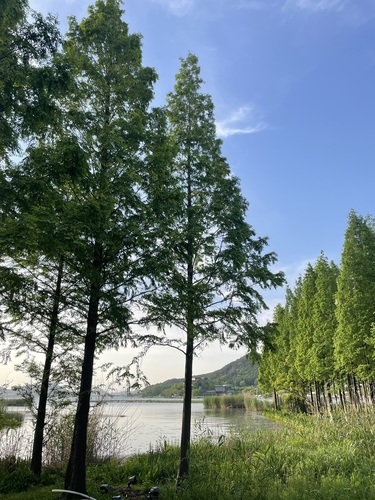 东钱湖风景名胜区-马山湿地