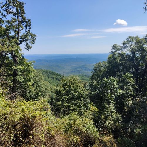 鹤岗金顶山地质公园