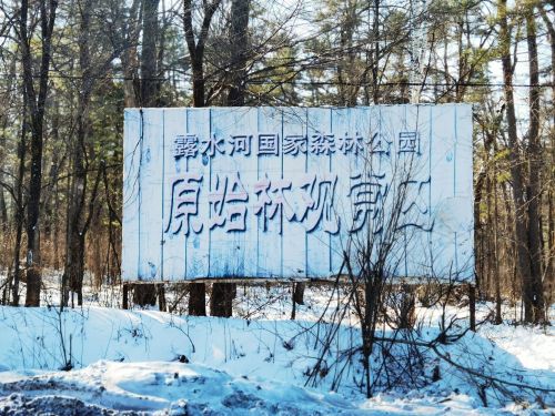 露水河国家森林公园原始林观赏区