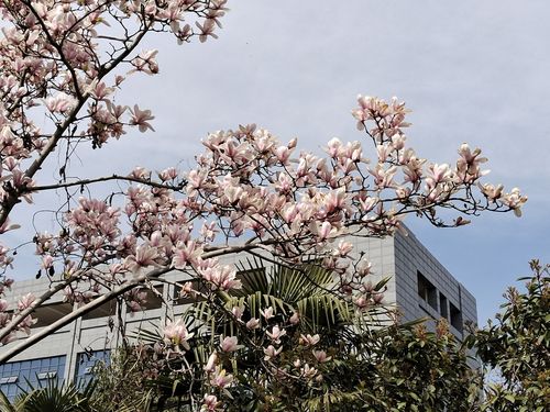 龙亢农场景区