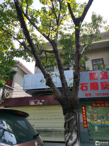 肥婆石墨肠粉