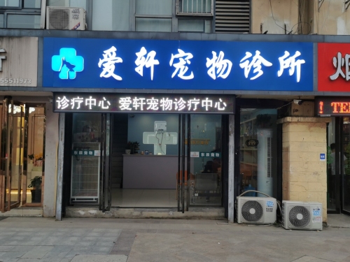爱轩宠物诊疗中心