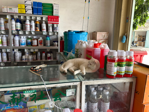 崖城哈尔滨松涛农药店(古城北路店)