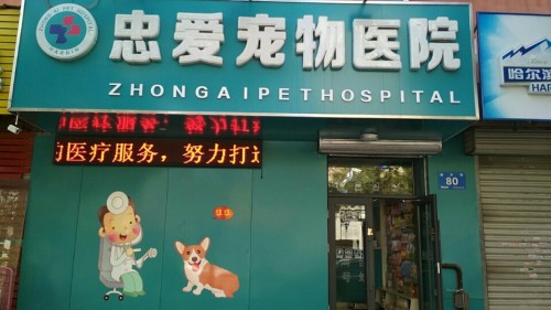 忠爱宠物医院