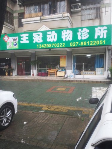 王冠动物诊所