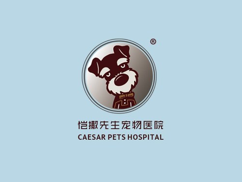 恺撒先生宠物医院