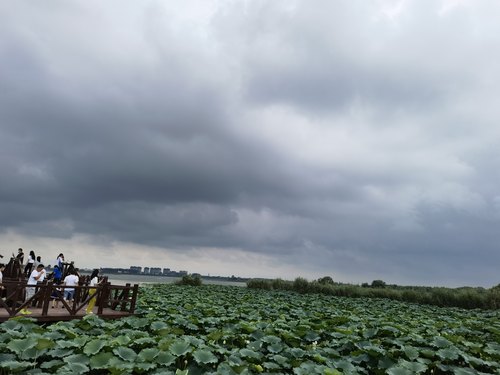 淮阳龙湖国家湿地公园