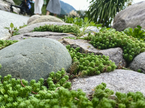 海花沟大地公园