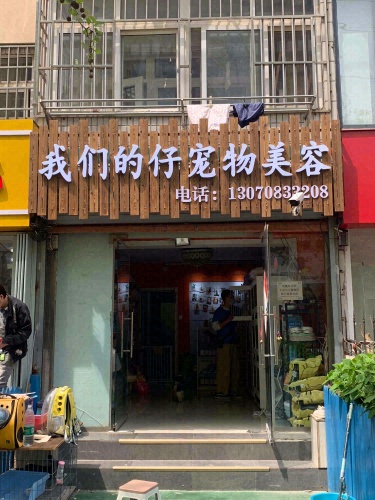 我们的仔宠物美容