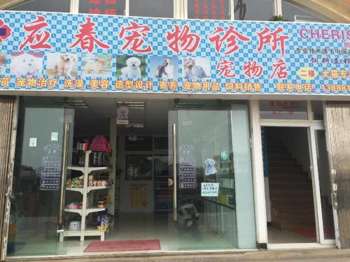 应春宠物诊所(官南大道店)