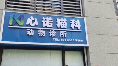 观山湖区心诺猫科动物诊所