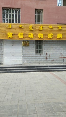 宠信动物诊所