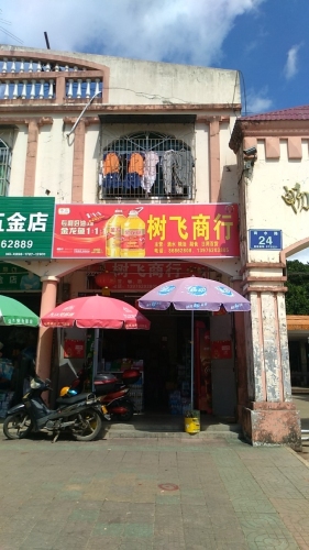 崔树飞副食店