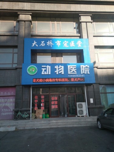 大石桥市宠医堂