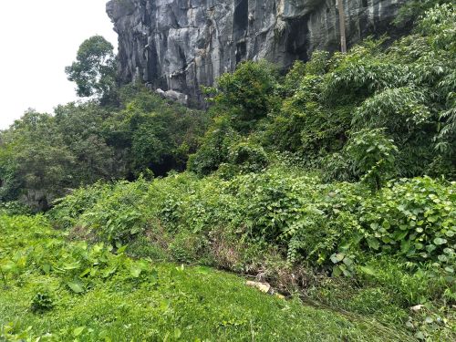 象鼻山(公象)
