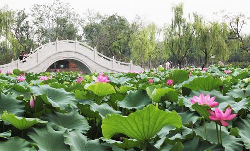 茱萸湾风景区