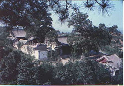 冠山森林公园