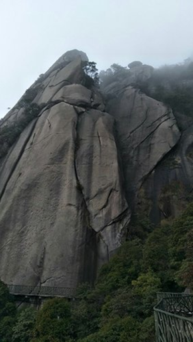 豹子抓鸡