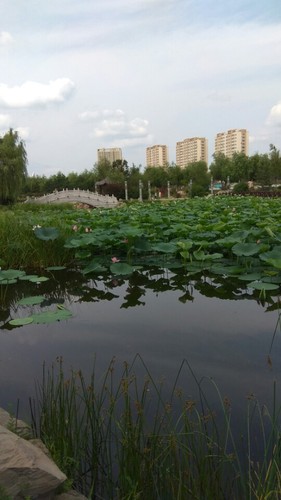 长白山植物园