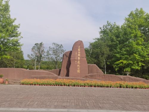 江苏三台山国家森林公园-万梅争春