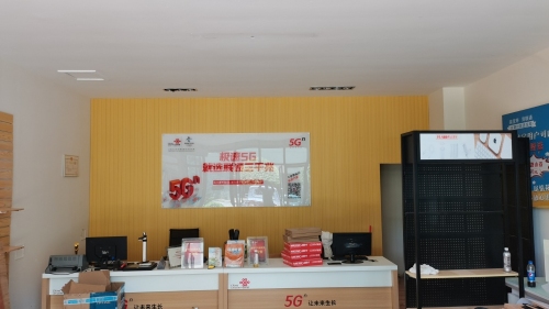 中国联通(蔚蓝海岸湖畔乐活小镇店)