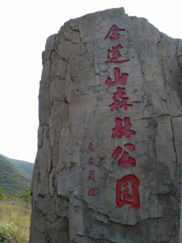 金莲山森林公园