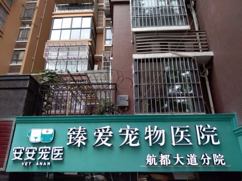安安宠医