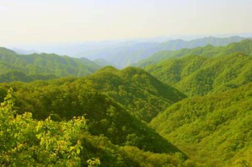 黄龙山森林公园
