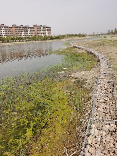 南河湾湿地公园