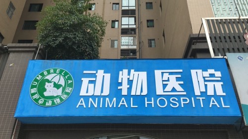 保护伞动物医院