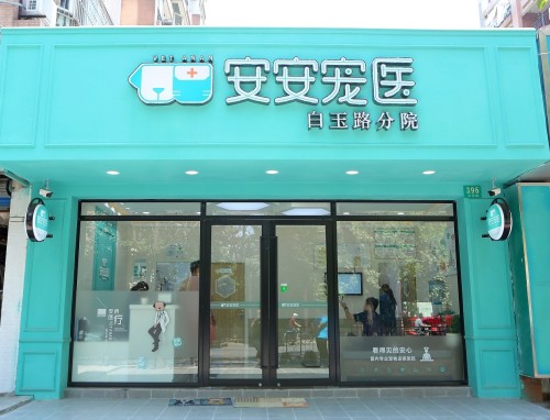 安安宠医(白玉路分院)